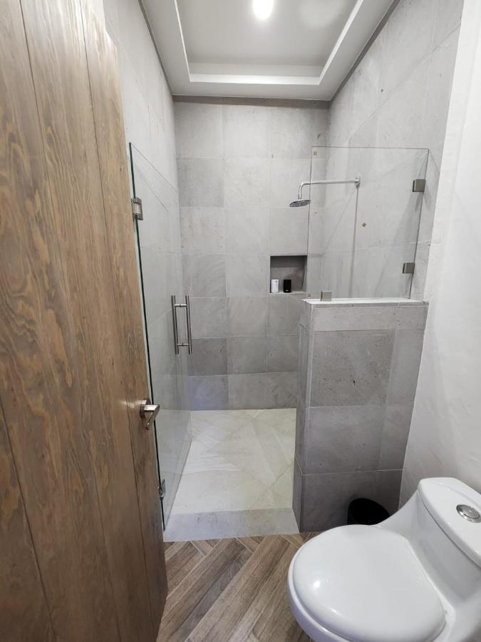 Hotel Ursula Concept ケレタロ エクステリア 写真