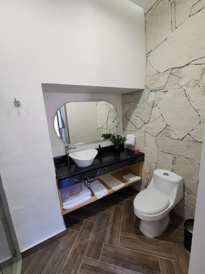 Hotel Ursula Concept ケレタロ エクステリア 写真