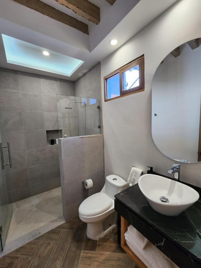 Hotel Ursula Concept ケレタロ エクステリア 写真